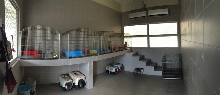 Row of cat cages and pet carriers in a tiled MAQIS quarantine room near KLIA, with a cat on the steps